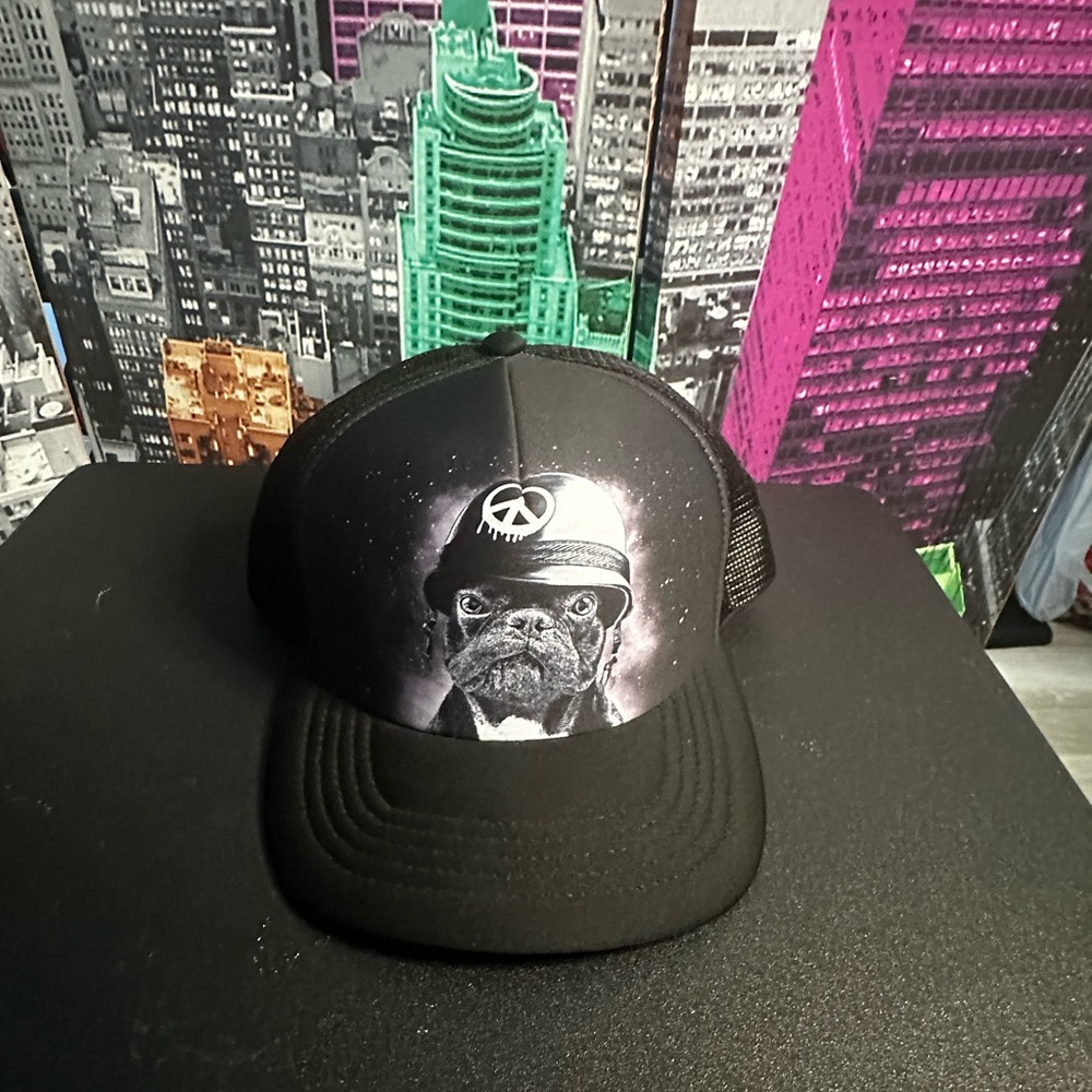 French Bulldog , snapback hat